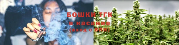 таблы Бородино