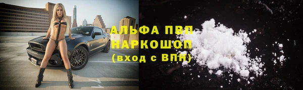 СК Бронницы