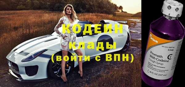 СК Бронницы