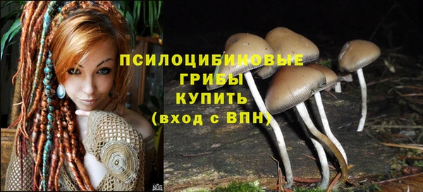 твердый Бугульма