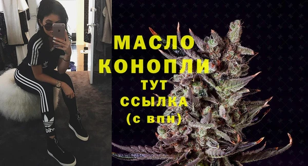 таблы Бородино