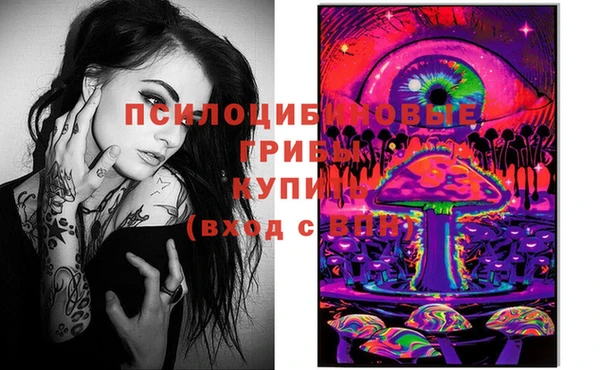 таблы Бородино