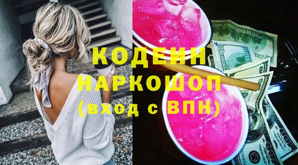 СК Бронницы