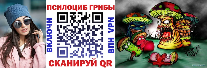 Псилоцибиновые грибы Cubensis  наркотики  Кодинск 